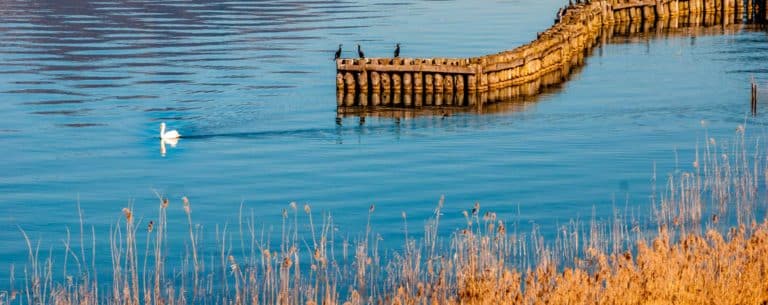 reserve naturelle du bout du lac d annecy