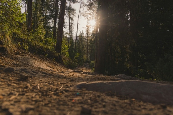 Participez à la Grimpée du Laudon lors de vos vacances dans notre camping près de Saint Jorioz